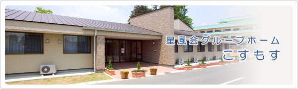 ���V�l�ی��{�� �m�C�G�V���e����